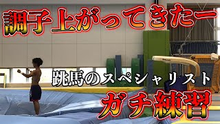 【希少すぎる大業】世界で数名しか出来ない大技を跳ぶ男。跳馬のスペシャリストによる本気の練習‼️