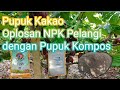 PUPUK KAKAO OPLOSAN NPK PELANGI 12-12-17-2 DENGAN PUPUK KOMPOS