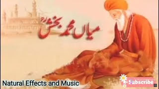 Sufi Kalam Mian Muhammad Bakhsh | کلام میاں محمد بخش | صوفیانہ سیف الملوک Punjabi Poetry #sadpoetry