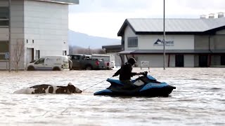 Dan Riskin on the increasing rise of extreme weather events