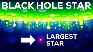 Black Hole Star – The Star That Shouldn't Exist