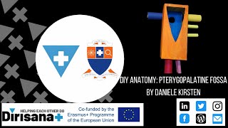 DIY ANATOMY: PTERYGOPALATINE FOSSA