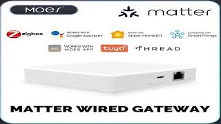 MOES Matter Gateway, Enjoy Smart Home Control with Tuya Zigbee, Voice Control with Siri, H