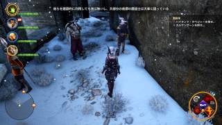 DragonAgeInquisition ソラスとドリアン（また精霊召使の話）