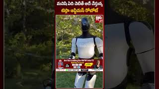 Tesla Robot | మనిషి ఏది చెబితే అదే చేస్తున్న టెస్లా ఆప్టిమస్ రోబోట్  | BIG TV