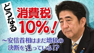 どうなる消費税10％！～安倍首相はまだ増税の決断を迷っている！？【ザ・ファクトREPORT】