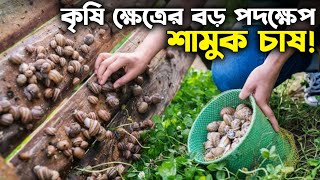 শামুক চাষ: Sustainable Farming-এর নতুন দিগন্ত Believe No Border