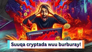 Suuqa Cryptada Wuu Burburay! Maxaa Sabab u ah Hoos u Dhaca Xoogan ee Suuqa Crypto?