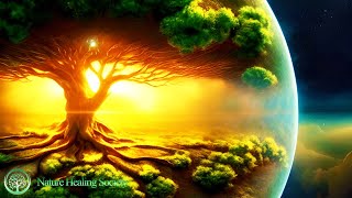 Euphoria Morning Music 528Hz 🥰 Beautiful Fresh Wake Up Meditation Music - Awaken Your Energy