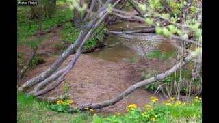 Moorlehrpfad auf der Teichalm Steiermark Almenland Österreich #visitstyria #markusflicker