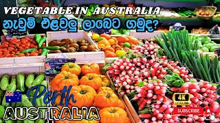 Veggie Australia 🇦🇺 | නැවුම් එළවළු ලාබෙට ගමුද?