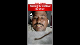 Fazilka Snake Attack| ਕਿਸਾਨ ਨੂੰ ਸੱਪ ਨੇ ਡੰਗਿਆ, ਸੱਪ ਦੀ ਮੌਤ