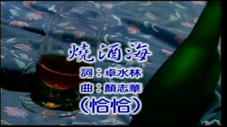 大清溪之星 - 發飆舞曲 9 (恰恰) 06.燒酒海