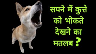 सपने में कुत्ते को भोंकते देखना ? Sapne Me Kutte Ko Bhokte Dekhna, Ambe Durga Jyotish