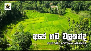 Our Village Walakanda Documentary Film (අපේ ගම වලකන්ද)