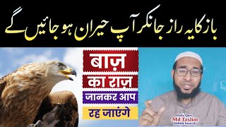 Eagle 🦅| बाज़ का यह राज़ जानकर आप हैरान हो जाएंगे। | باز کا حیران کن راز | By Qari Taslim.