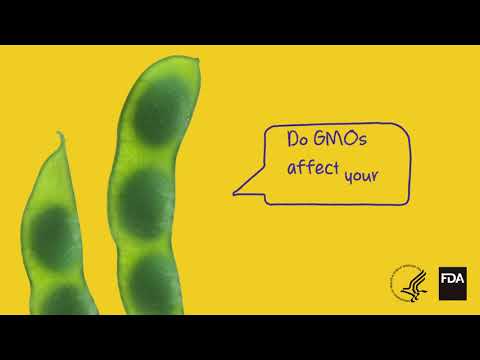 What does anti GMO mean?