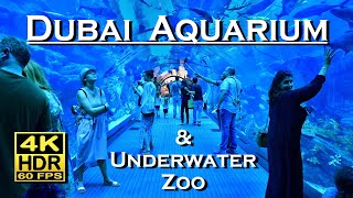 Dubai Aquarium & Underwater Zoo 🇦🇪 complete tour in 4K 60fps HDR (UHD) 💖 Best places 👀 walking tour