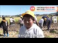 小学生が稲刈り体験 酒造りに適した山田錦を収穫 「刈ったものがお酒になるのはちょっとうれしい」