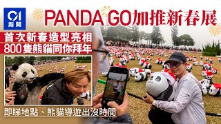 PANDA GO中山公園非終站　加推新春展　800隻「熊貓」1.17起拜年｜01新聞｜大熊貓｜海洋公園｜無人機｜中環街市｜打咭