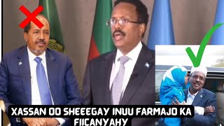 Dowlada xassan shiiq po sheegtay farmajo inuu dadka iyo dalkaba ufiicnaa waaw