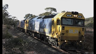 BL26-G519-BL31 on 7901V at Gooseberry Hill.  28-10-23.