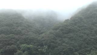 30秒の心象風景5577・雨後の川辺～市川～