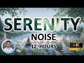 Serenity Sleep Noise | Physical & Emotional Healing Tones | Pain Relief | 12 Hours | BLACK SCREEN