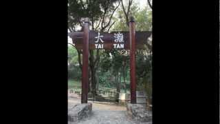 大灘樹木研習徑 Tai Tan Tree Walk