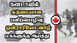 கனடாவில் கடுமையான பனிப்பொழிவு - ஒன்ராரியோ வாழ் மக்களுக்கு ஆபத்து