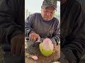 fantastic way to peel coconut fruit streetfruits coconut cuttingskills food streetfood