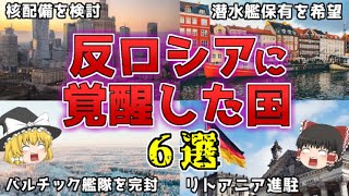 【ゆっくり解説】世界に広がるロシア包囲網！反ロシアに覚醒した国6選を解説【雑学】