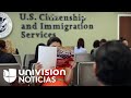 ¿No has recibido tu permiso de trabajo debido a los retrasos de USCIS? Esto debes hacer