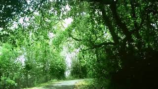 Top View of the Vilangan Hill,Thrissur_Kerala