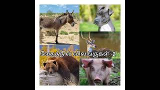 வேதத்தில் விலங்குகள் -2 | Animals in the Bible -2🦌🐻🐷🐶