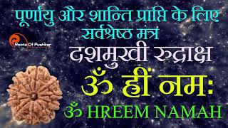 रुद्राक्ष मंत्र 10 मुखी Rudraksh Mantra for 10 Mukhi | Rudraksh Beej Mantra Jaap | Rudri Path