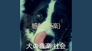 気持ち (犬を連れて散歩をしている)