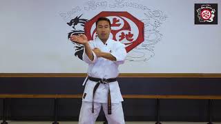 Guiding Arm Block Tutorial - East Bay Karate-Do - Pittsburg, CA - Learn Martial Arts
