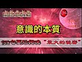 只30分鐘讓你瞬間開悟|聼懂意識與心靈的本質|150句精選摘要讓你聽懂“最大的秘密”|意識到底是什麽？你有意識嗎|秘密：終極奧秘150句精選摘要|意識的本質