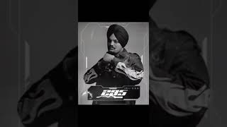 295 Sidhu Moosewala New Punjabi Song Sidhu Moosewala New Song 295 #sidhumoosewala #shorts