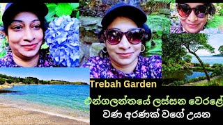 වෙරළේ වණ අරණ/Trebah garden uk/Travel sinhala/Travel vlog sinhala/sinhala/day in my life sinhala