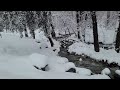 Aftermath of the rare Southern California blizzard at Icehouse Canyon Trail in Mt Baldy