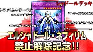 【遊戯王ADS】ネフィリム禁止解除記念!!シャドール【YGOPro】