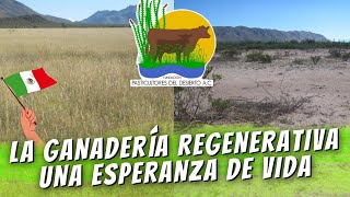 Ganadería Regenerativa: Esperanza de VIDA!!! | Con: Alejandro Carrillo | Pasticultores del Desierto