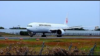 みぞか号、１時間遅延・大阪伊丹空港ライブ配信!  Plane Spotting Live!  Osaka Itami Airport 02/13/2025