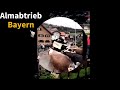 11 10 2024 almabtrieb oberland tradition bayern reisen deutschland de