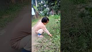 বরশি দিয়ে মাছ ধরছে আফিয়া🤣#cutebaby # #funny #funnypost #Fish