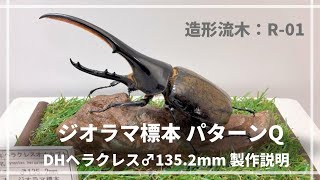 パターンQ 造形流木R-01＋深型ケース　ヘラクレスオオカブト製作説明