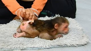 Omg! After taking a bath, Toto ate the dessert that mom bought from the supermarket