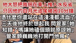 只因老公的白月光追尾被困10分鐘「憑什麼你還站在這淺淺都流血了」三天後他終於想起我 問管家「她知錯了嗎讓她磕個頭就原諒她」管家顫巍巍地打開門他瘋了